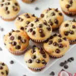 Mini Chocolate Chip Muffins